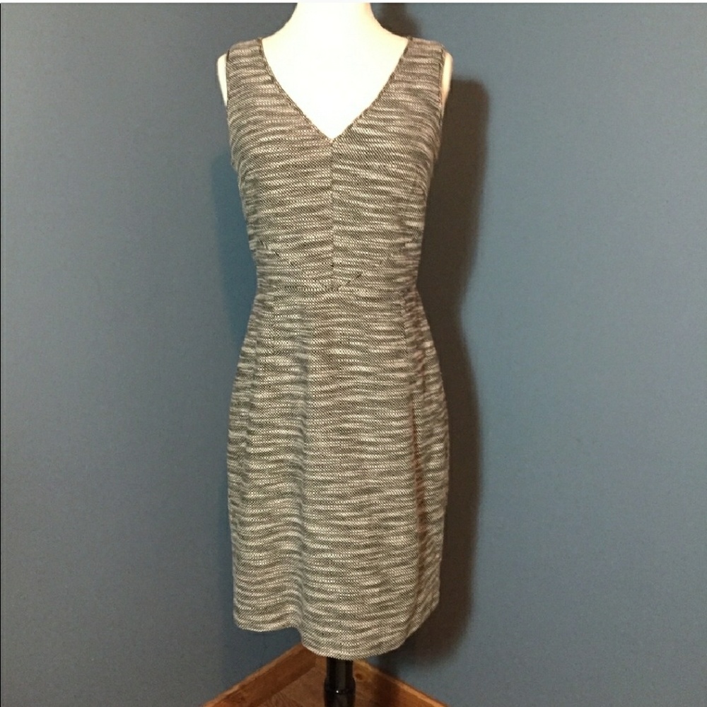 Size 12 Banana Republic Dress.